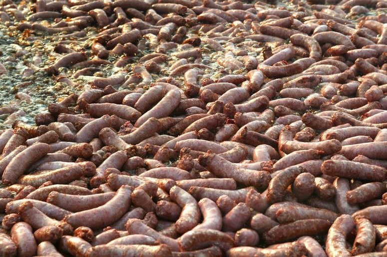 eurocatering-platos-9995